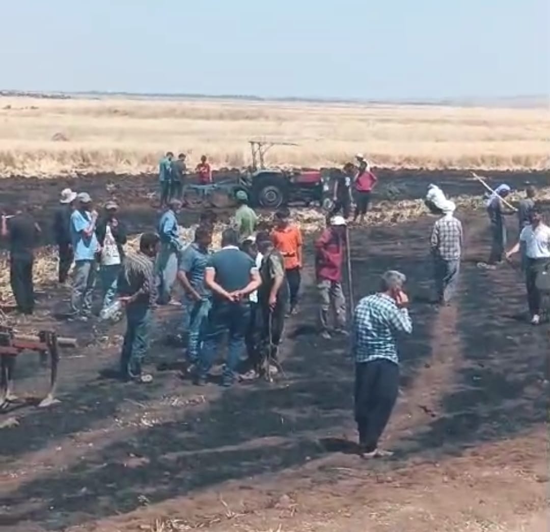 Diyarbakır'da Yangında 200 Dönüm Tarım Alanı Kül Oldu