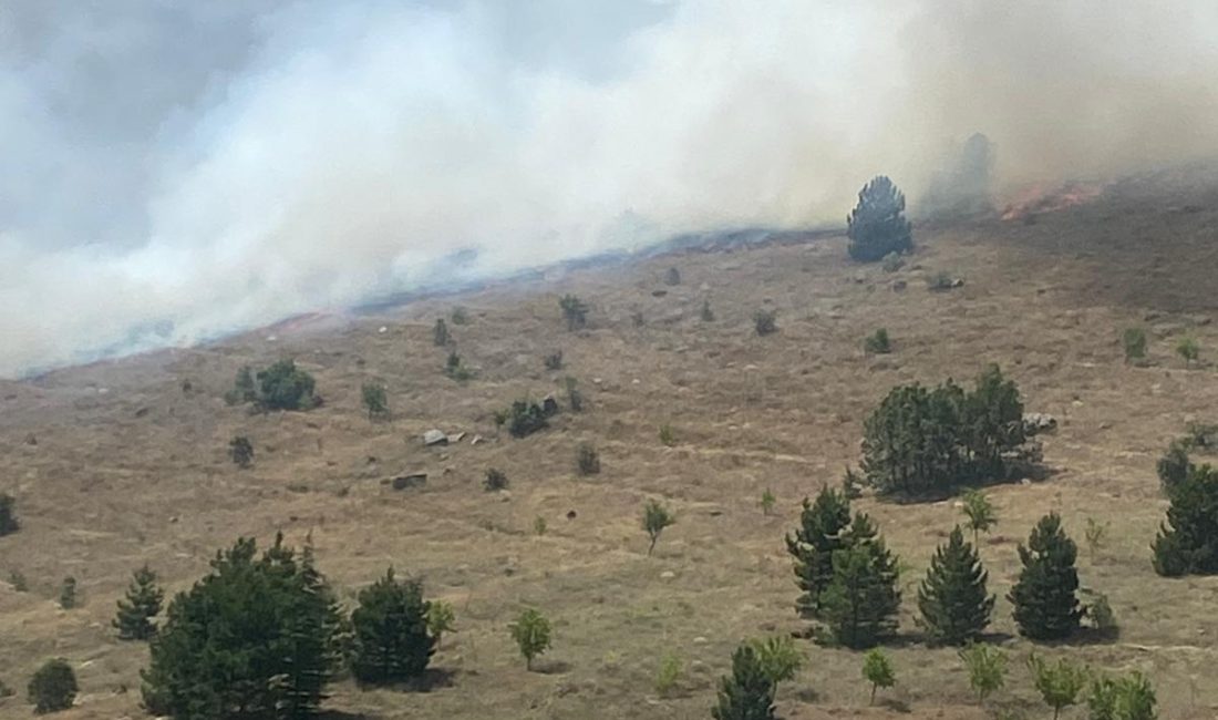 Elazığ Maden ilçesine bağlı Gezin köyü Kışlacık mezrasındaki orman yangını,