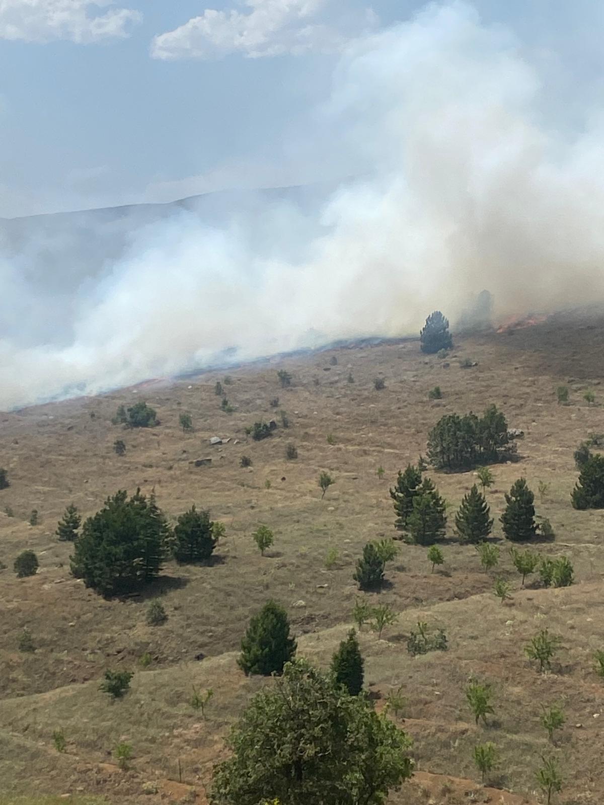 elazigda orman yangini 2 6674506d98033