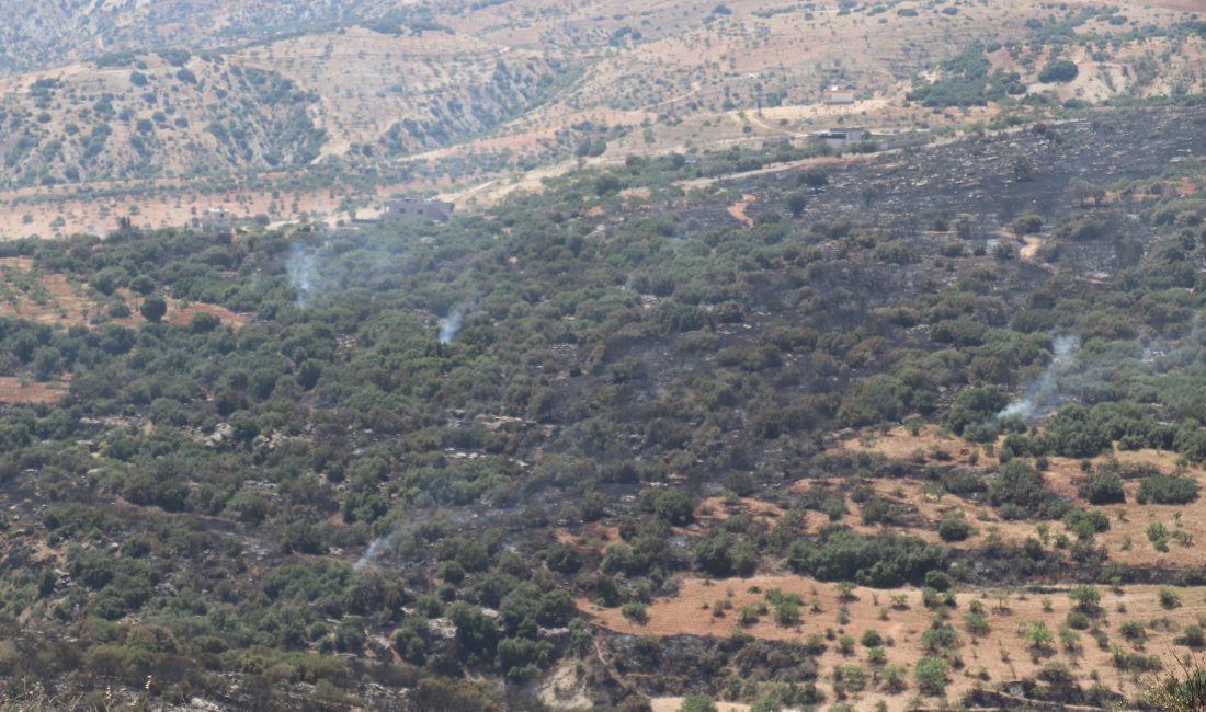 Nizip ilçesinde çıkan yangın, fıstık ve zeytin bahçelerinin bulunduğu arazide