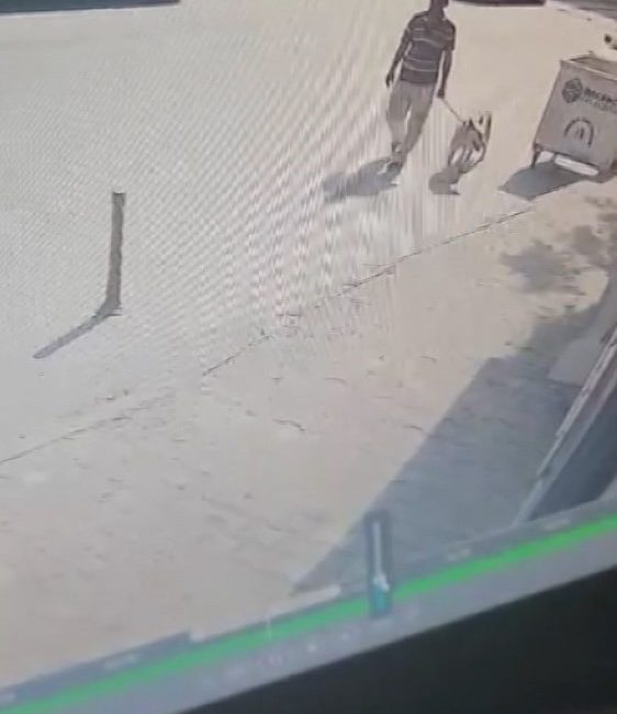 Bakırköy ilçesinde bir köpeğe cinsel saldırıda bulunan şüpheli, polis ekipleri