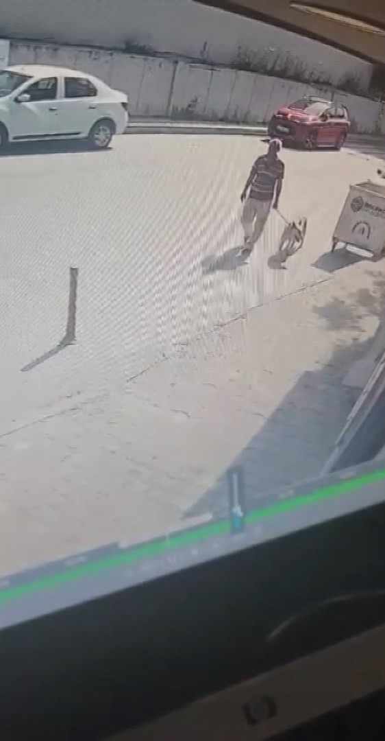 İstanbul Bakırköy’de Şok İddia: Köpeğe Cinsel İstismar Olayında Şüpheli Yakalandı
