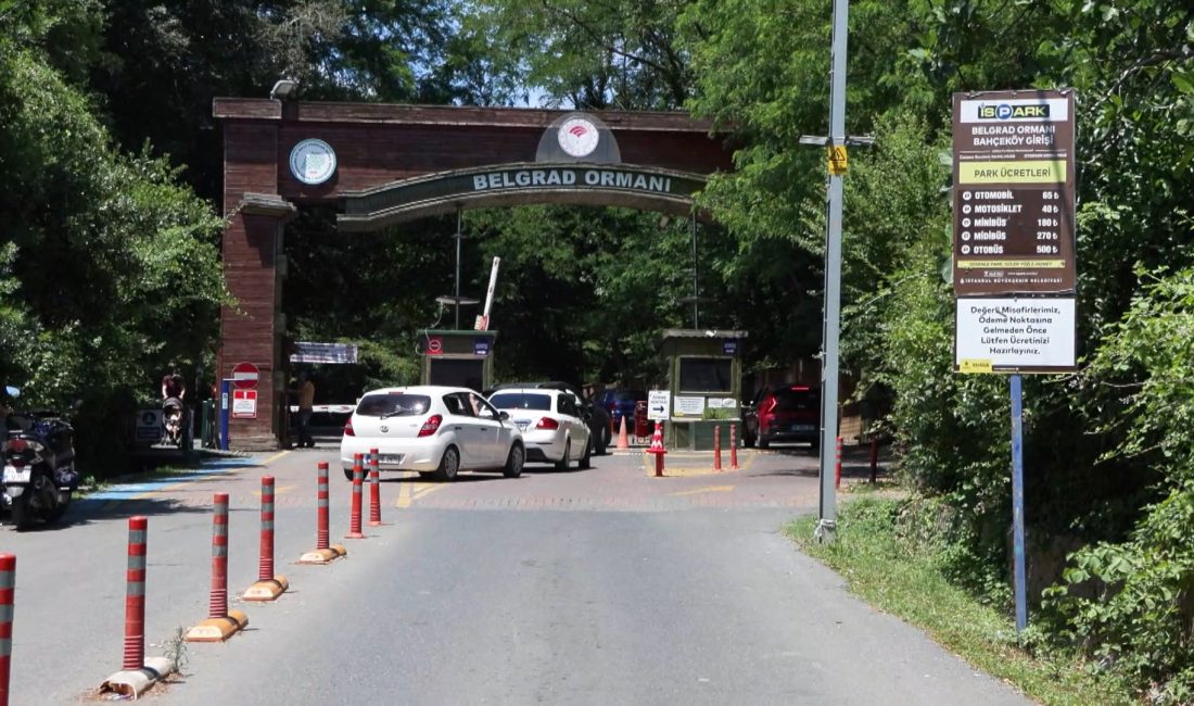 İstanbul’da Kurban Bayramı tatilini değerlendirmek isteyenler, tercihlerini Belgrad Ormanı’ndan yana
