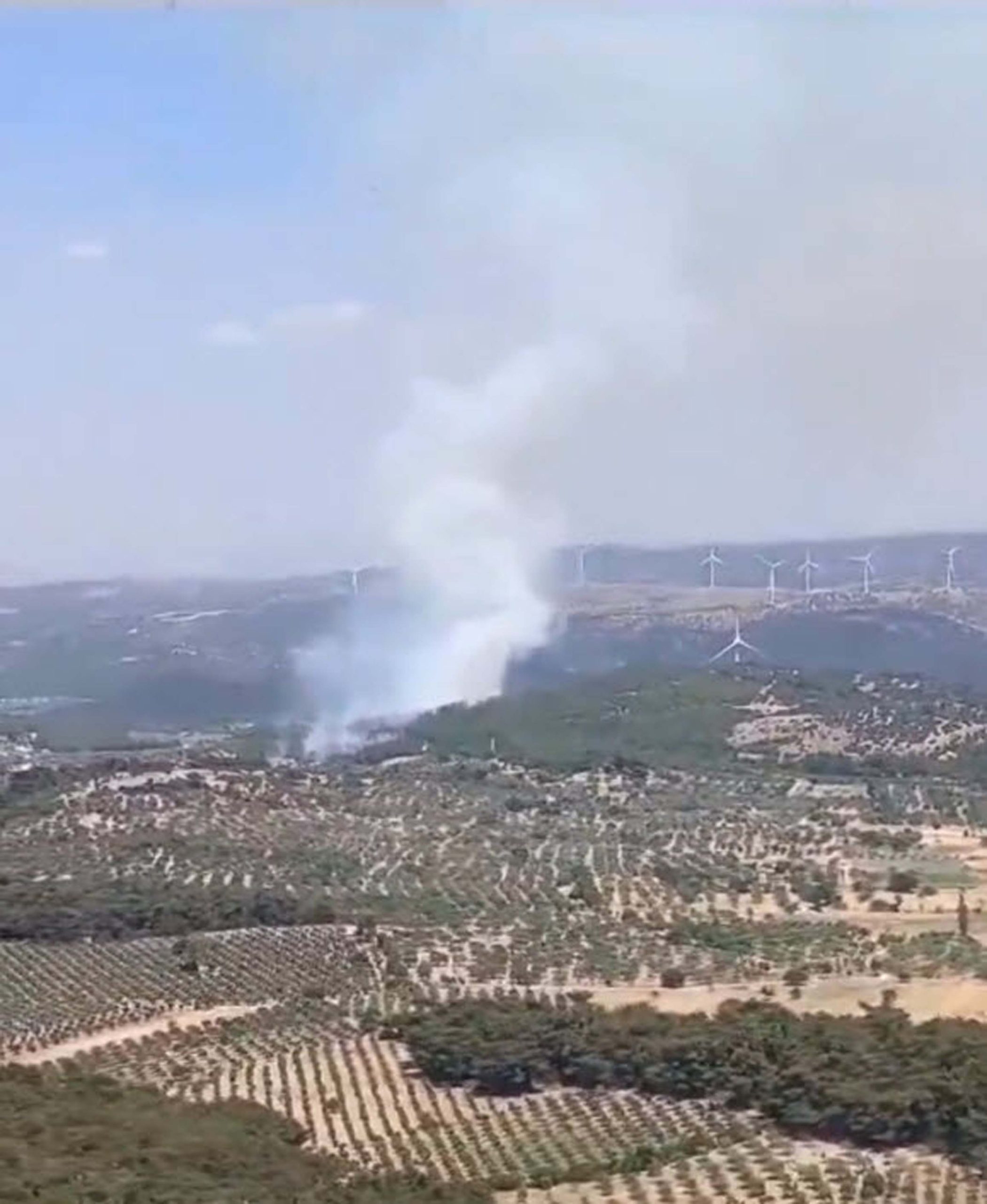 izmirde orman yangini 6666fe47742fe scaled