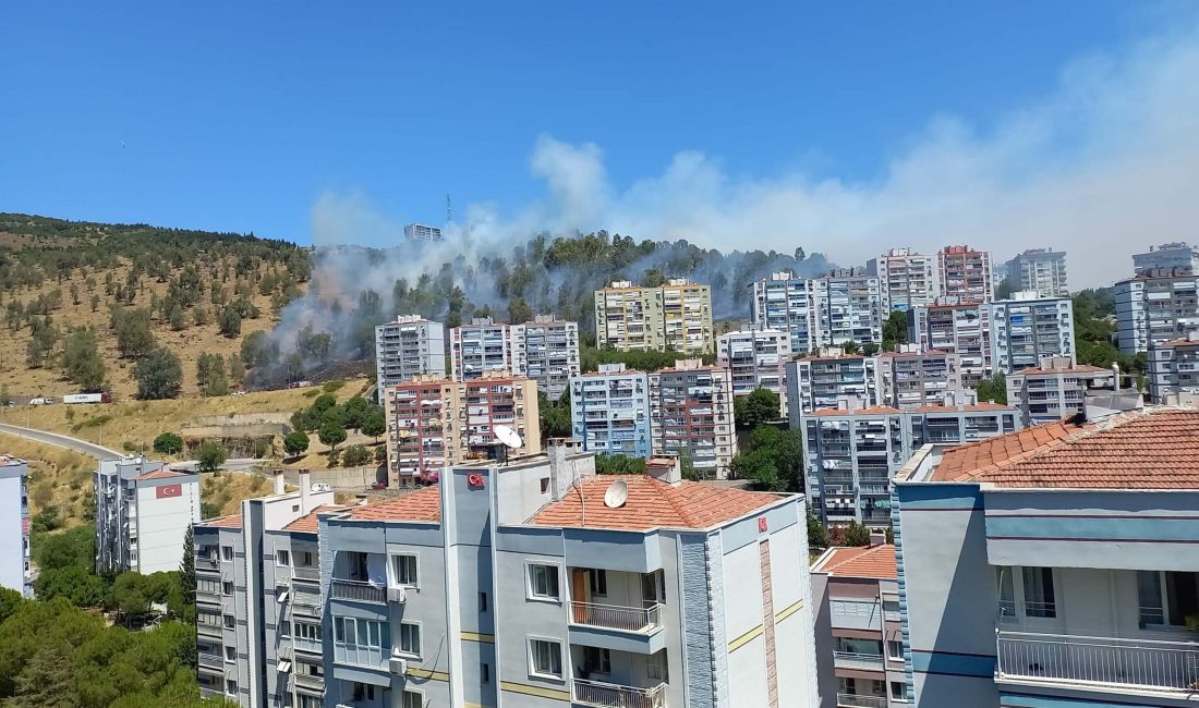 İzmir’in Aliağa ilçesinde bulunan ormanda yangın çıktı. Yangın söndürme ekipleri,