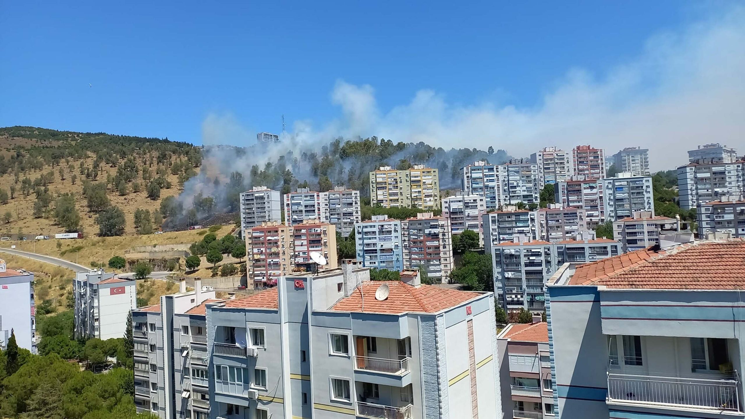 İzmir Aliağa'da Orman Yangını: Karadan ve Havadan Müdahale Ediliyor