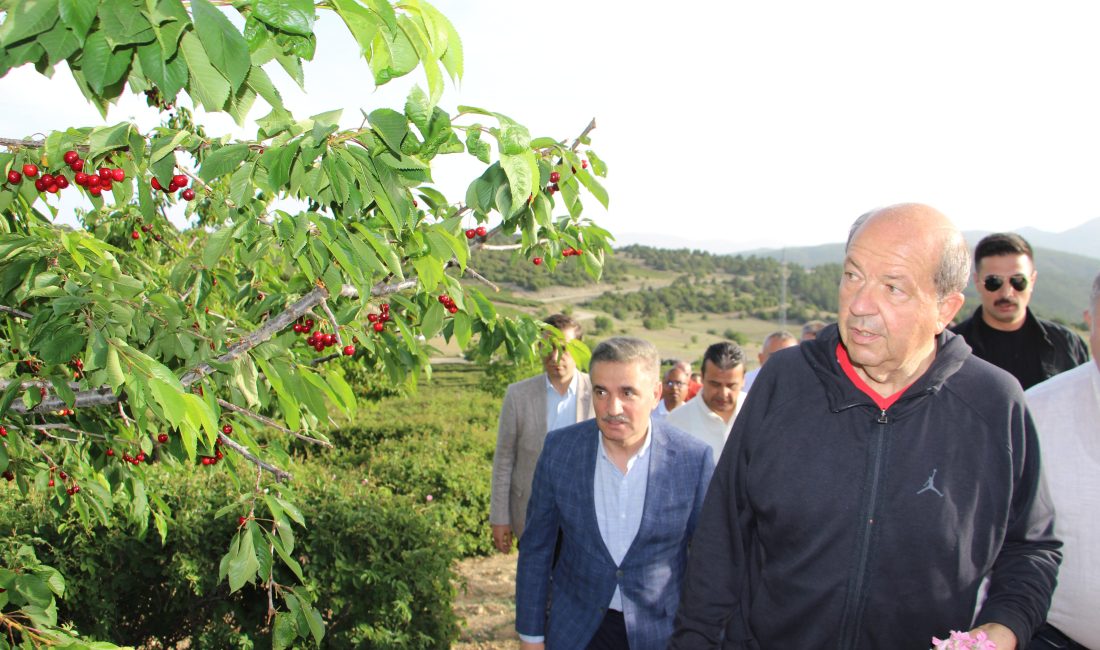 KKTC Cumhurbaşkanı Ersin Tatar, Isparta’yı ziyaret etti. Sabah erken saatte