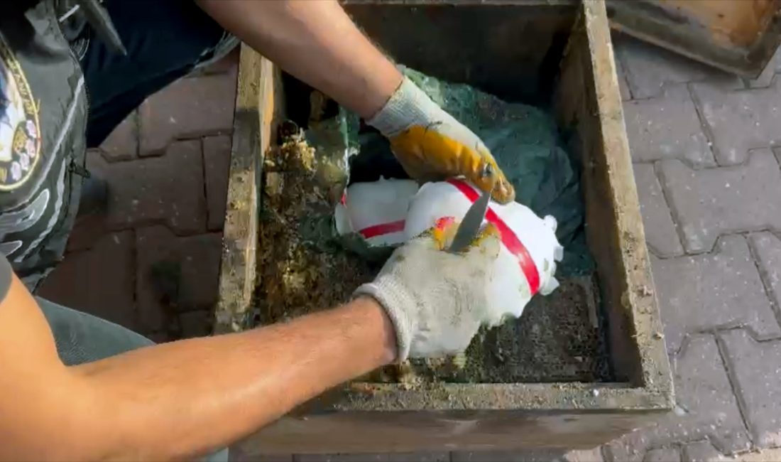 Adana’da polisin gerçekleştirdiği operasyonda, narkotik köpek ‘Aşil’in gösterdiği tepki sonucu