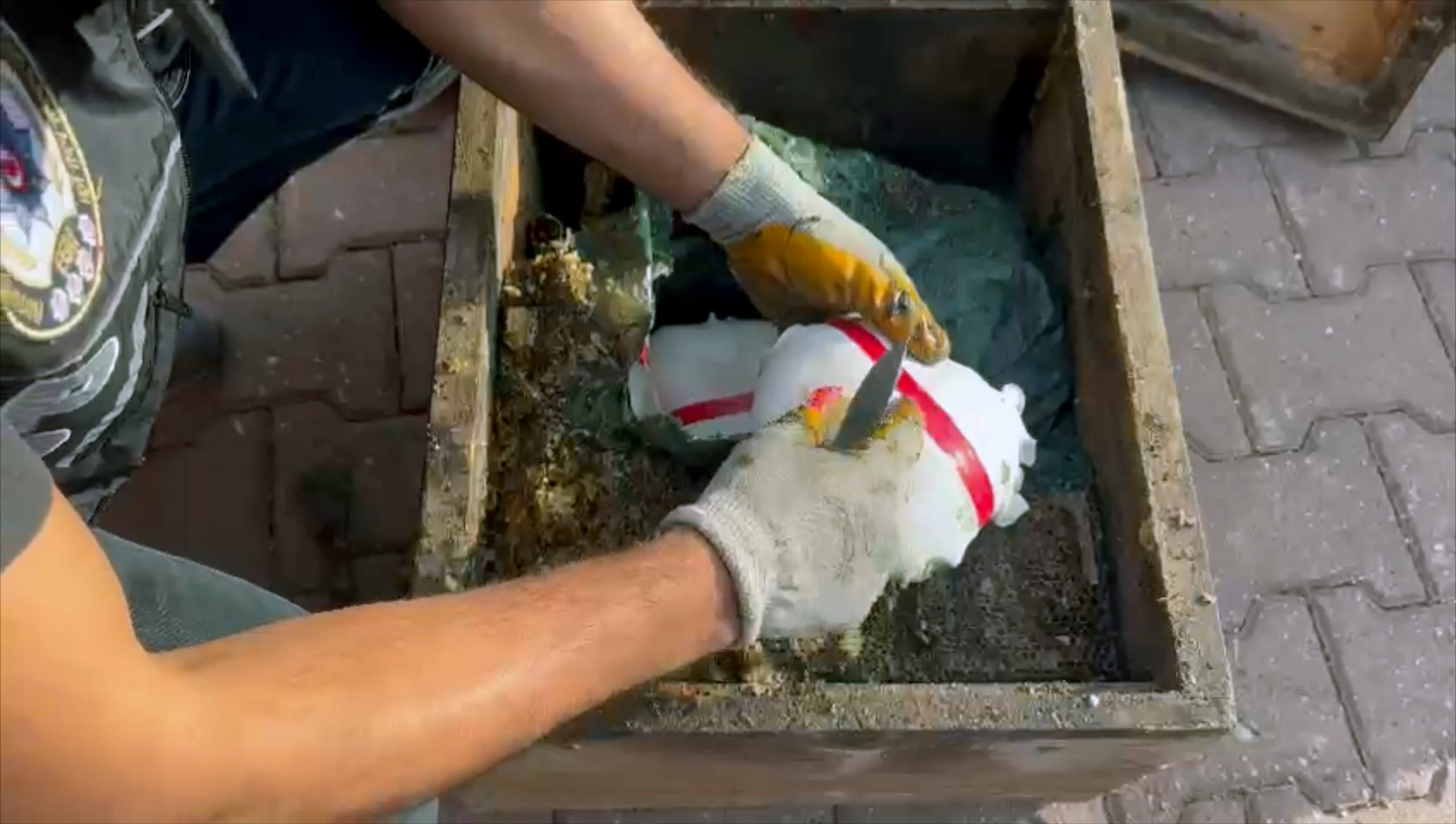 kralice ari tasiyoruz dedigi kovanlardan 53 kilo metamfetamin cikti 666d429381867 scaled