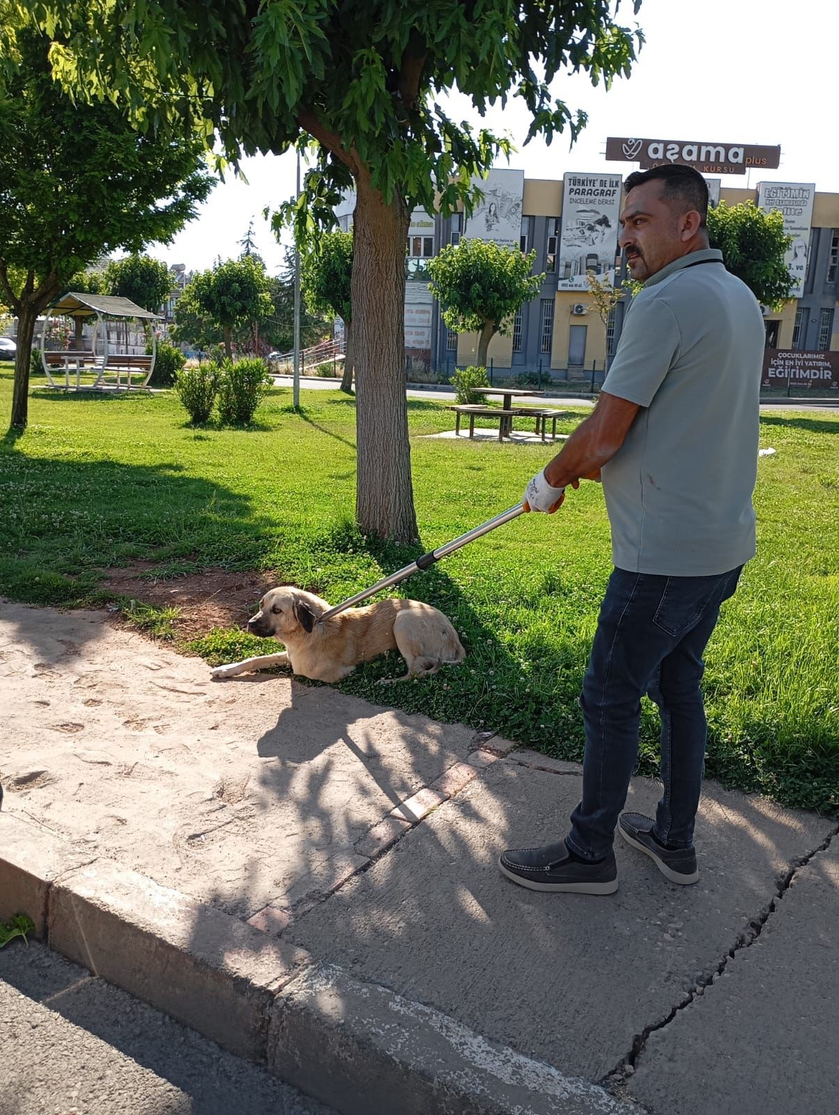 Şanlıurfa'da Kuduz Köpeğin Isırdığı İşçi Karantinaya Alındı
