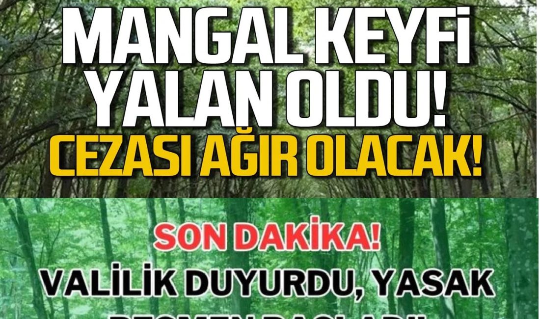 Kahramanmaraş Valiliği, şehir güvenliği için kentteki ormanlık alanlara girişlerin 31