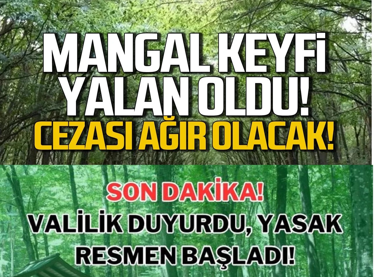 mangal ceza orman yasak