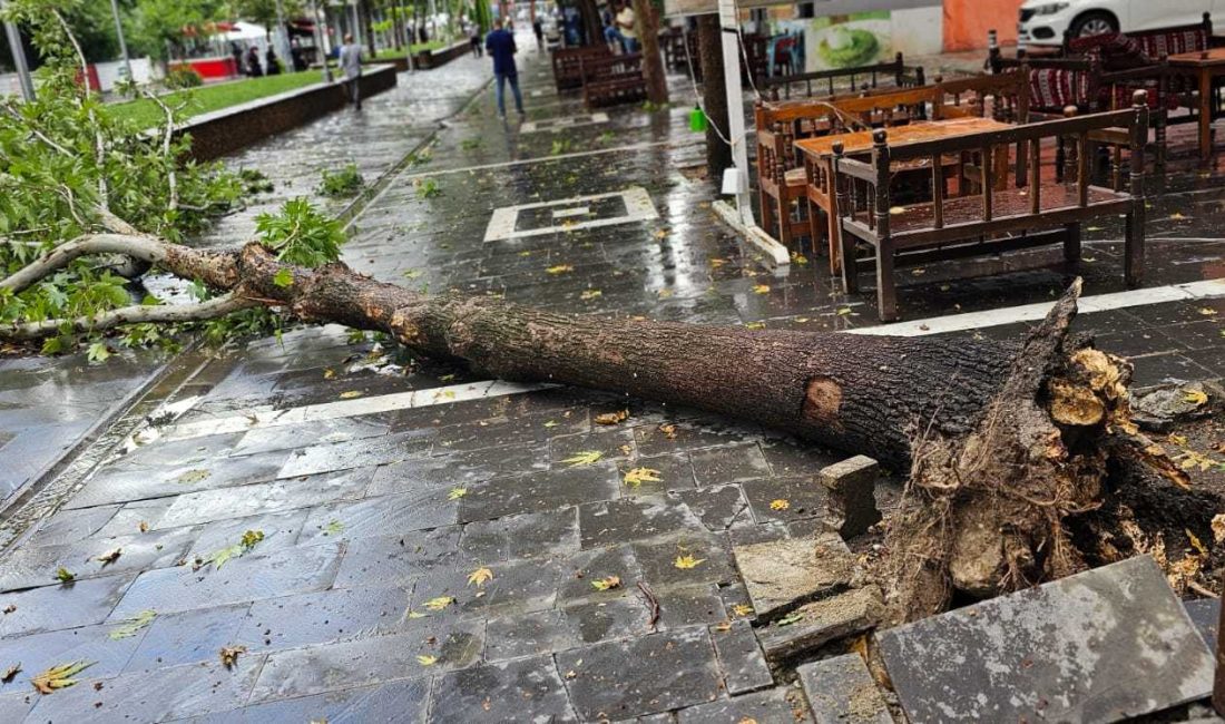 Mardin ve Batman’da Etkili Olan Kuvvetli Fırtına Hayatı Olumsuz Etkiledi