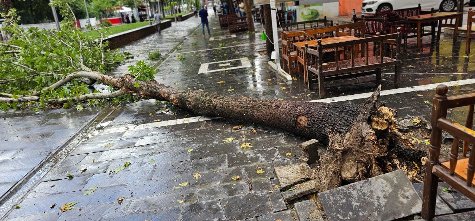 Mardin ve Batman'da Fırtına ve Yağışın Etkileri! 1 mardin ve batmanda kuvvetli firtinada agaclar devrildi o anlar kamerada 66674ccfee71b