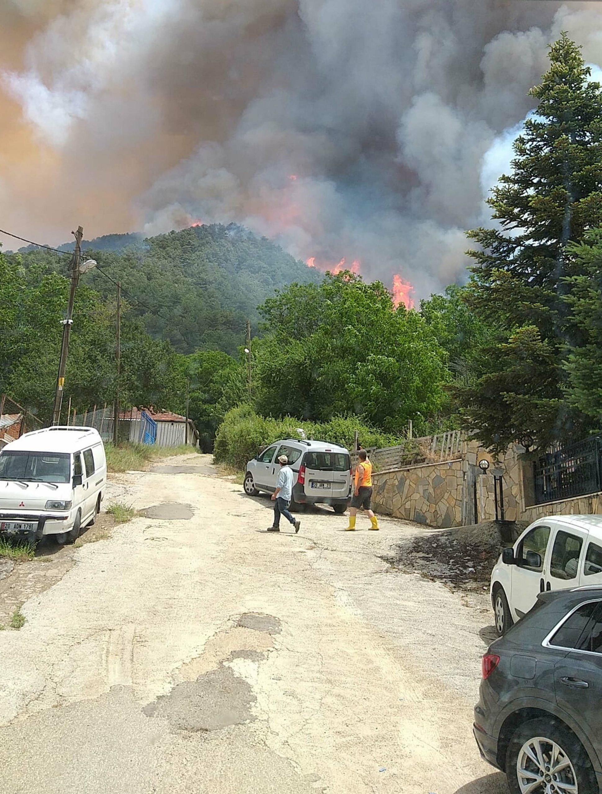 muglada orman yangini bu kez de milasta cikti 2 666c296b6867e scaled