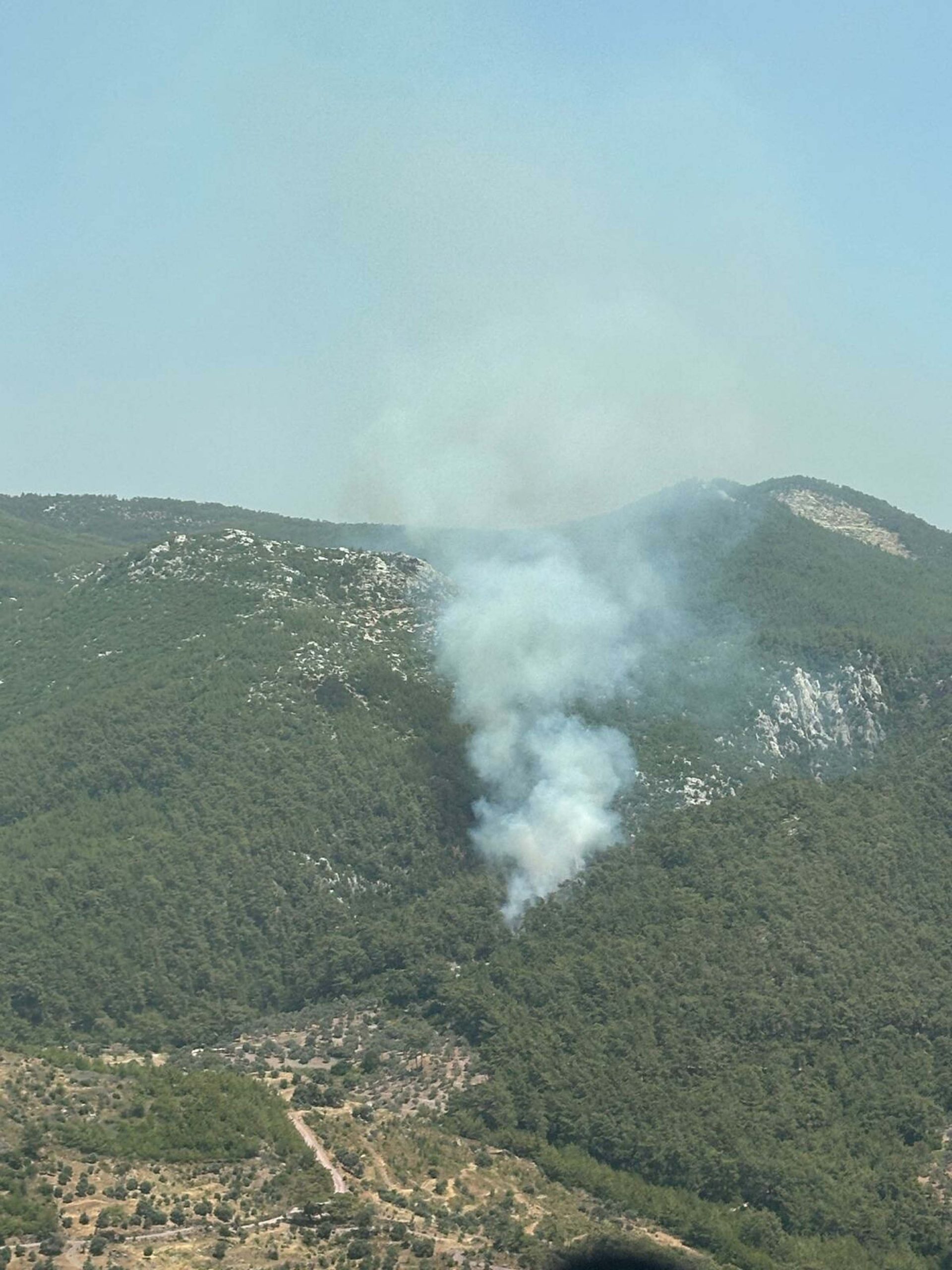 "Muğla'nın Milas ilçesinde orman yangınına müdahale devam ediyor"