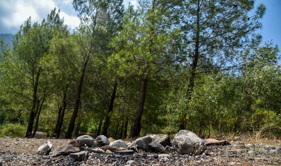Antalya’da Orman Yangınlarına Karşı