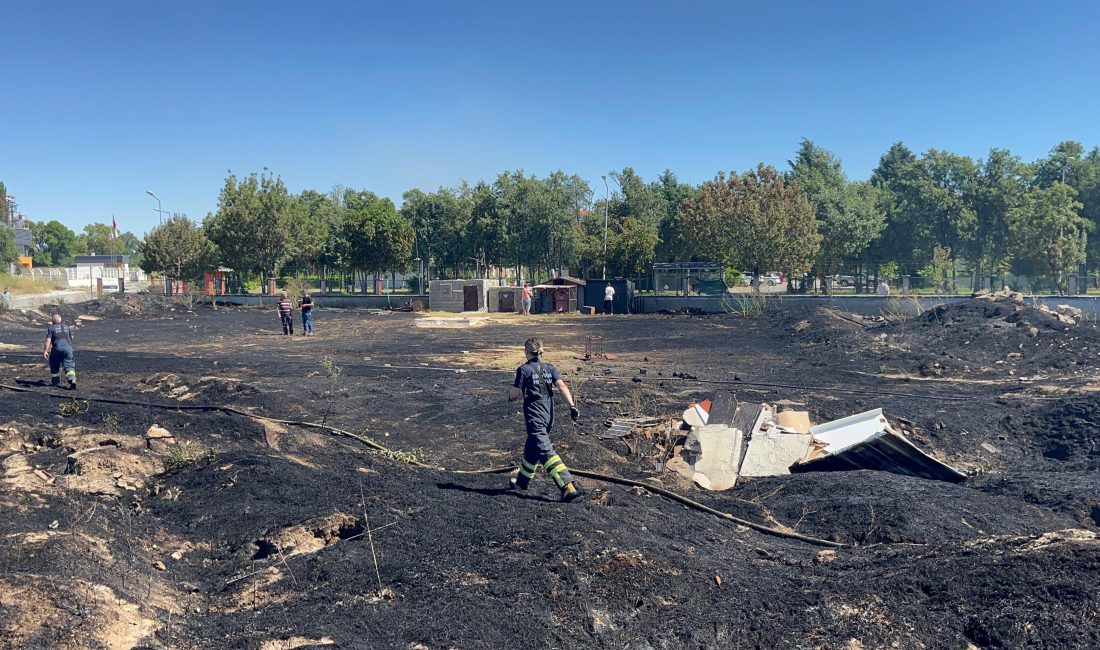 Eskişehir’de Sokak Hayvanları Besleme Alanında Yangın Çıktı Eskişehir’de bulunan sokak