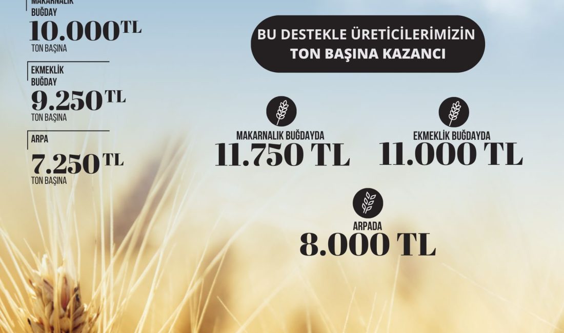 Toprak Mahsulleri Ofisi (TMO) Genel Müdürlüğü, 2024 yılında hububat satış