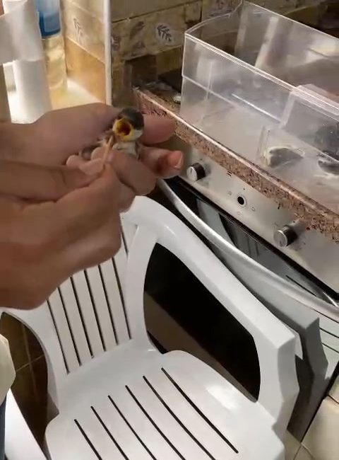 Siirt’te bulunan Alkumru Barajı’ndaki haberleşme santralinde görevli Yılmaz Adar, yuvalarından