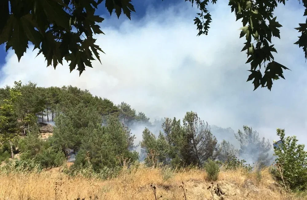 Kahramanmaraş’ın doğal güzelliğiyle ünlü, piknikçilerin uğrak mekanı olan ve yaz
