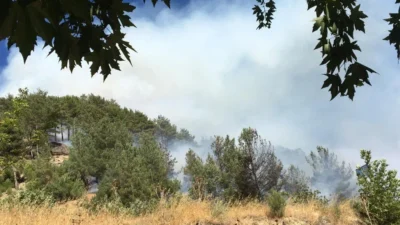 Kahramanmaraş’ın doğal güzelliğiyle ünlü, piknikçilerin uğrak mekanı olan ve yaz