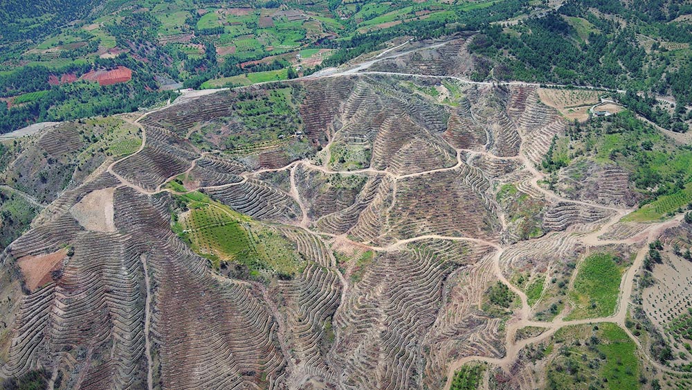 Kahramanmaraş Orman Bölge Müdürlüğü’nden yapılan açıklamada, “2023 yılında Kahramanmaraş'ın Dulkadiroğlu