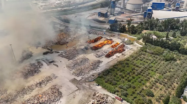  AYDIN'ın Söke ilçesindeki Kipaş Holding'e ait kağıt fabrikasının açık