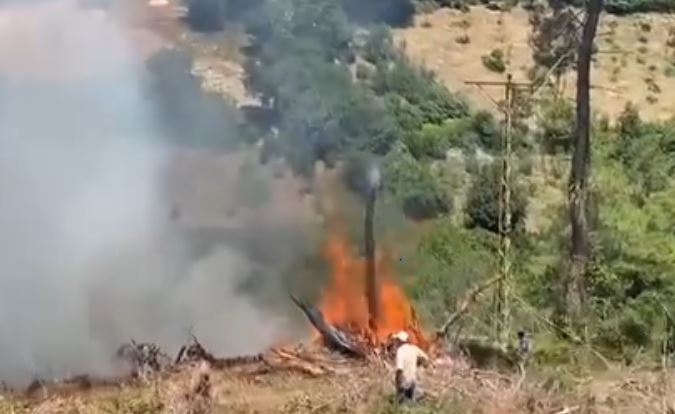 Kadirli’de çıkan orman yangını