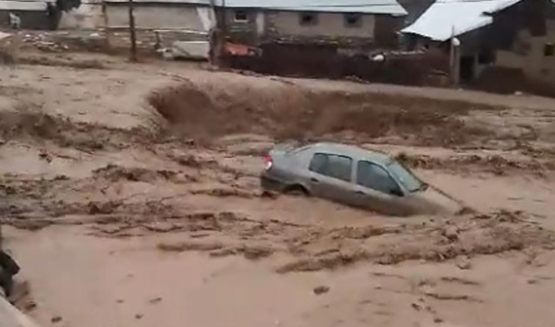 Ağrı’nın Eleşkirt ilçesinde çoban yıldırım çarpması sonucu yaralandı ve Doğubayazıt,