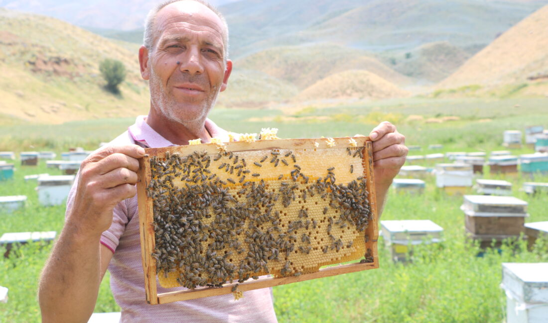 Hakkari’nin Yüksekova ilçesinde arıcılık yapan 53 yaşındaki Hasan Ocak, Bodrum’da