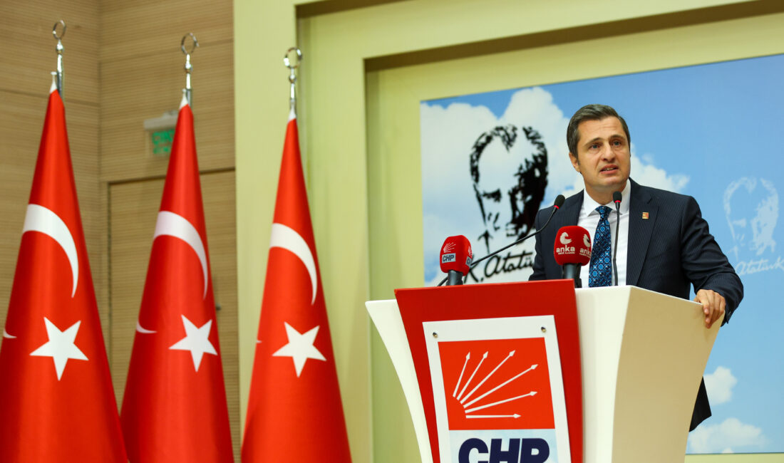 CHP Sözcüsü Deniz Yücel, sokak hayvanları konusundaki düzenlemeye ilişkin açıklamalarda