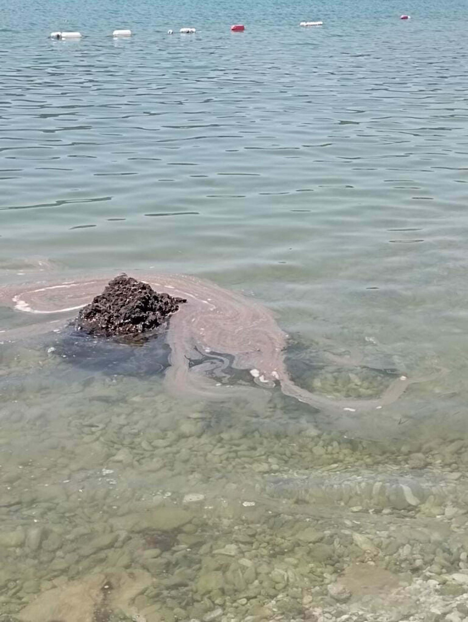 MUĞLA'da Akbük Koyu'na tekneden atık bırakıldığı iddiasıyla tatilcilerin tepkisi artıyor