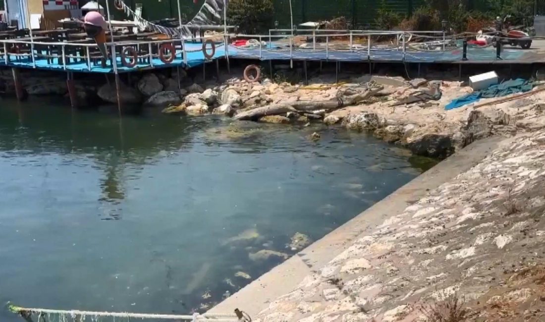İstanbul Avcılar’ın Ambarlı sahilinde bir tekne restoranında çıkan kavgada 1