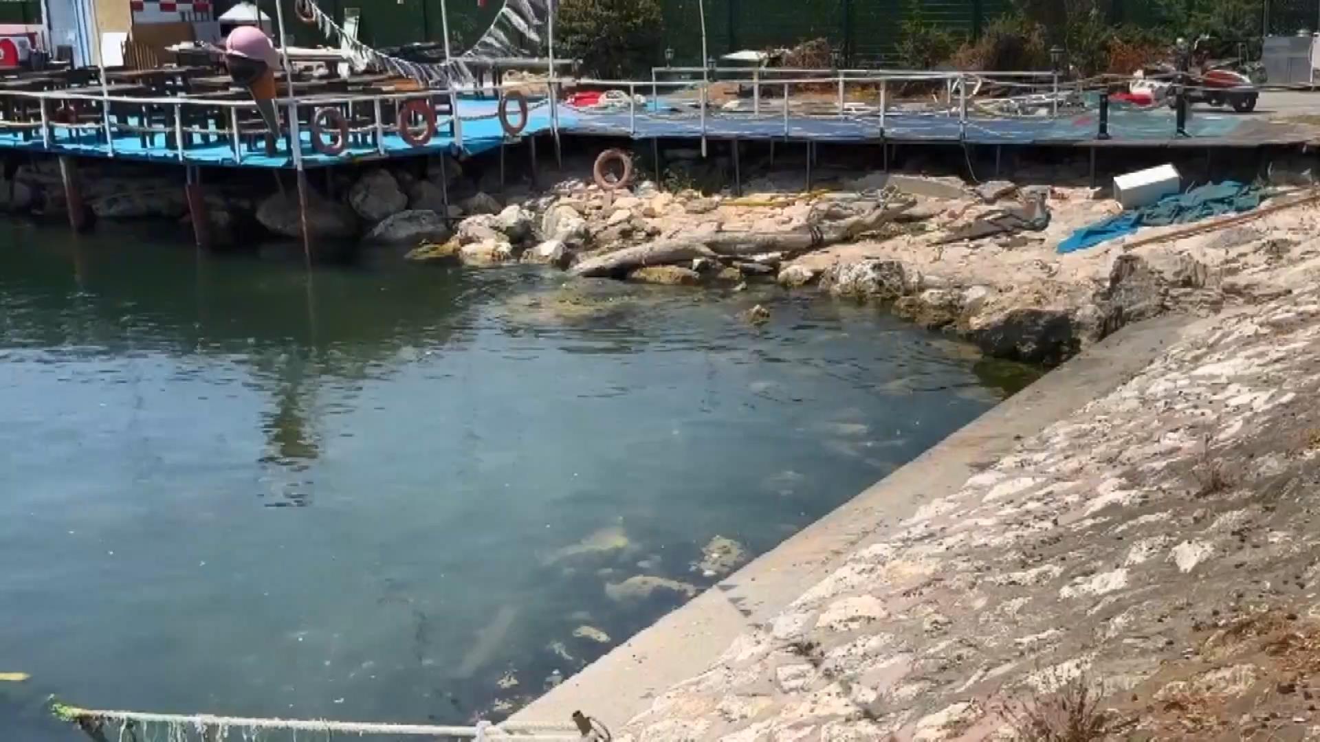 AMBARLI SAHİLİNDE RESTORANDA ÇIKAN KAVGA SONUCU 1 KİŞİ BICAKLANARAK ÖLDÜRÜLDÜ AMBARLI SAHİLİNDE RESTORANDA ÇIKAN KAVGA SONUCU 1 KİŞİ BICAKLANARAK ÖLDÜRÜLDÜ