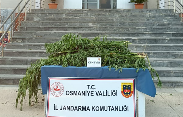 Kadirlİ’de jandarma tarafından uyusturucu tacirlerine yönelik baskın yapıldı. Uyuşturucu ile