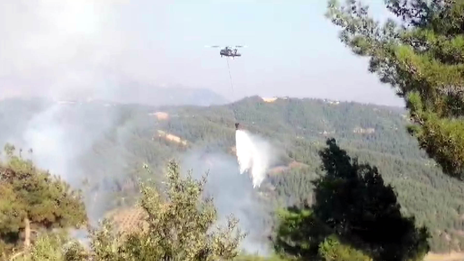 kahramanmarasta orman yangini 2 66a95191a9334
