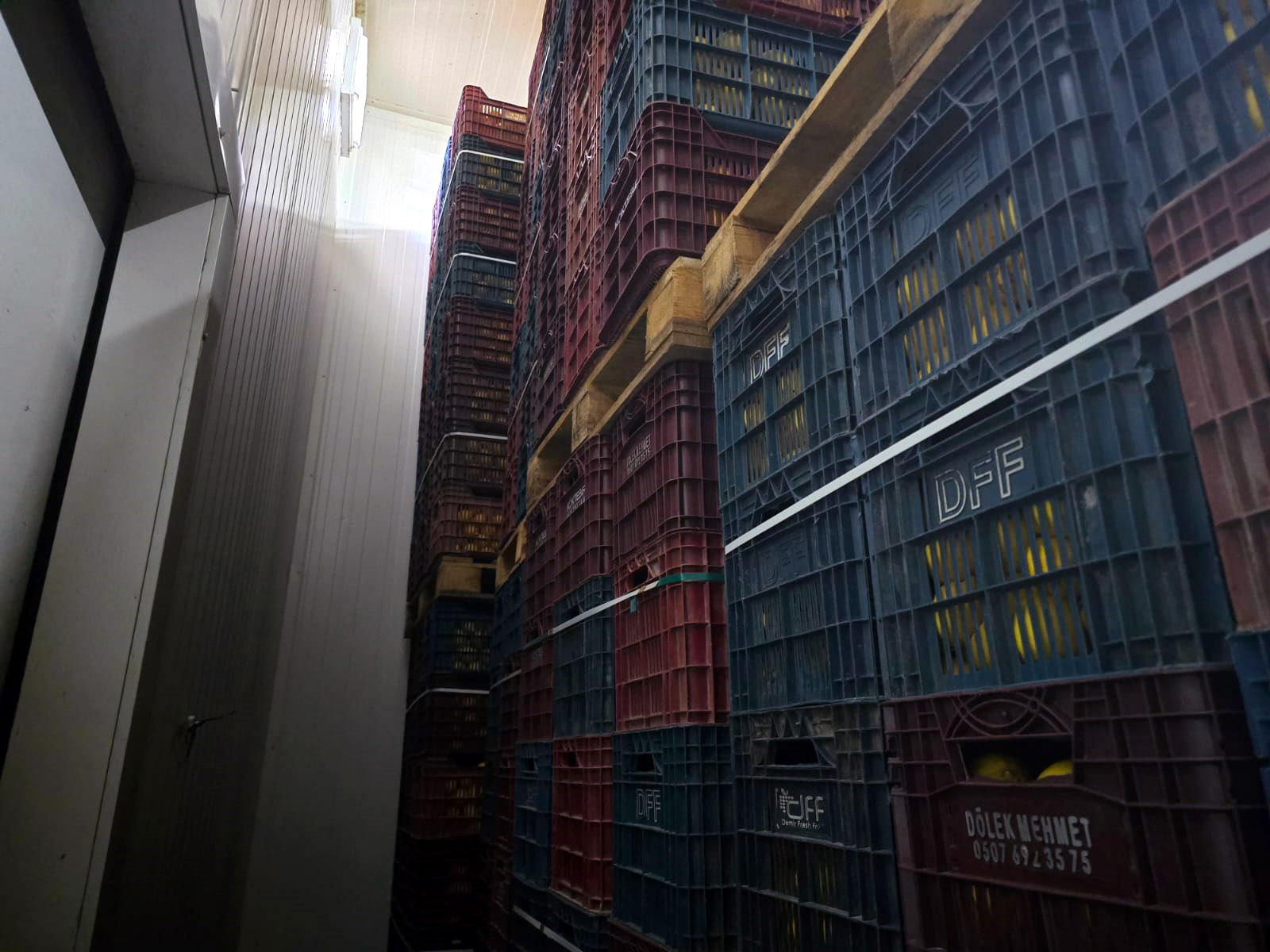 mersinde hal kayit sistemine bildirilmeyen 380 ton limon bulundu 6686642bcf1fb