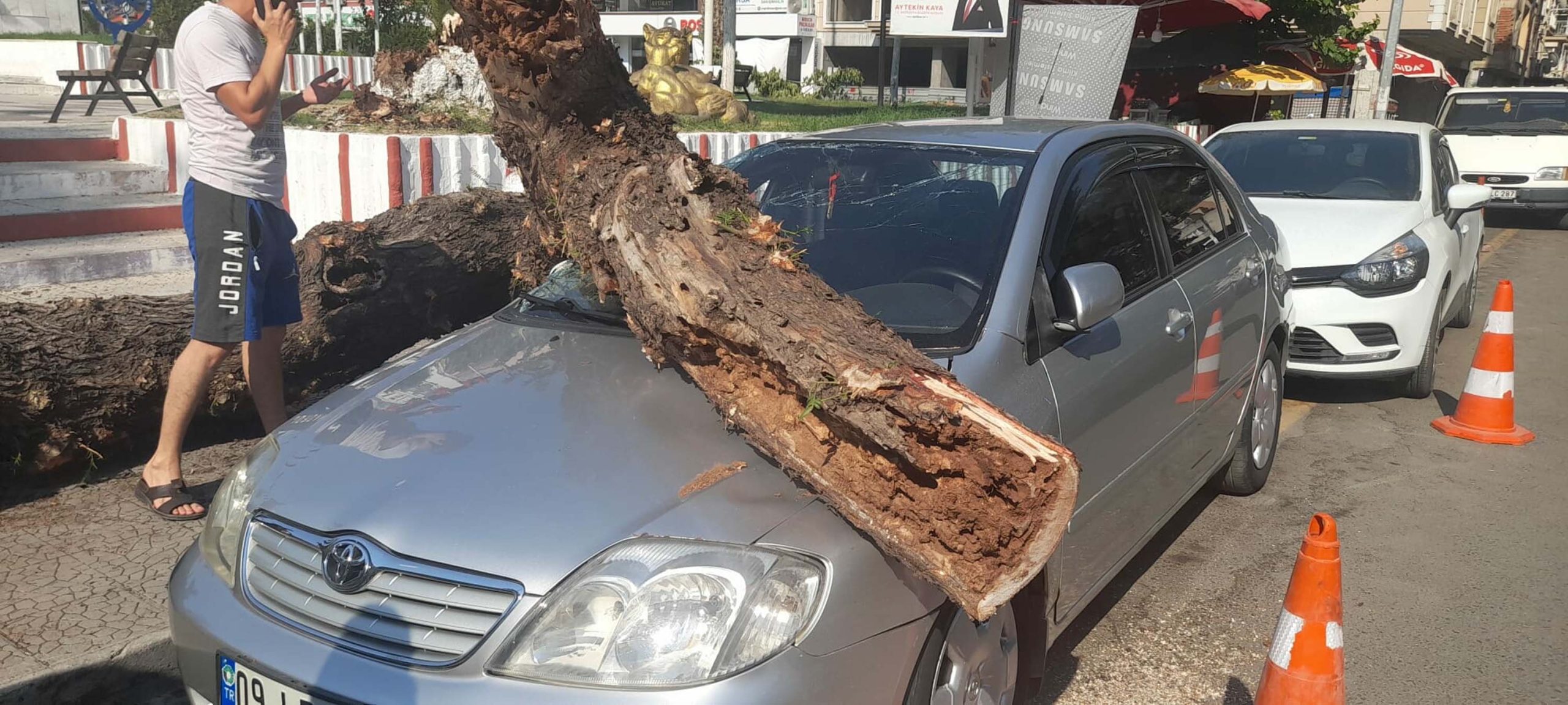 AYDIN İncirliova'da Dev Ağaç Otomobilin Üzerine Devrildi AYDIN İncirliova'da Dev Ağaç Otomobilin Üzerine Devrildi