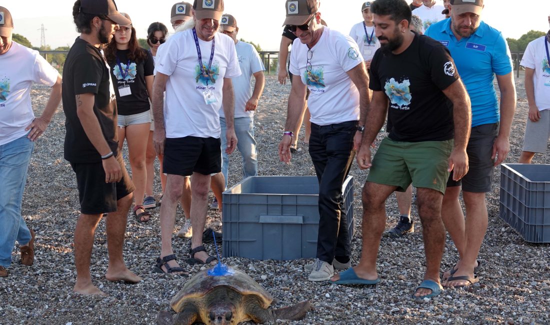 Manavgat ilçesinde yürütülen ‘Madenci Kaplumbağa- Miner Turtle’ adlı Deniz Kaplumbağalarını