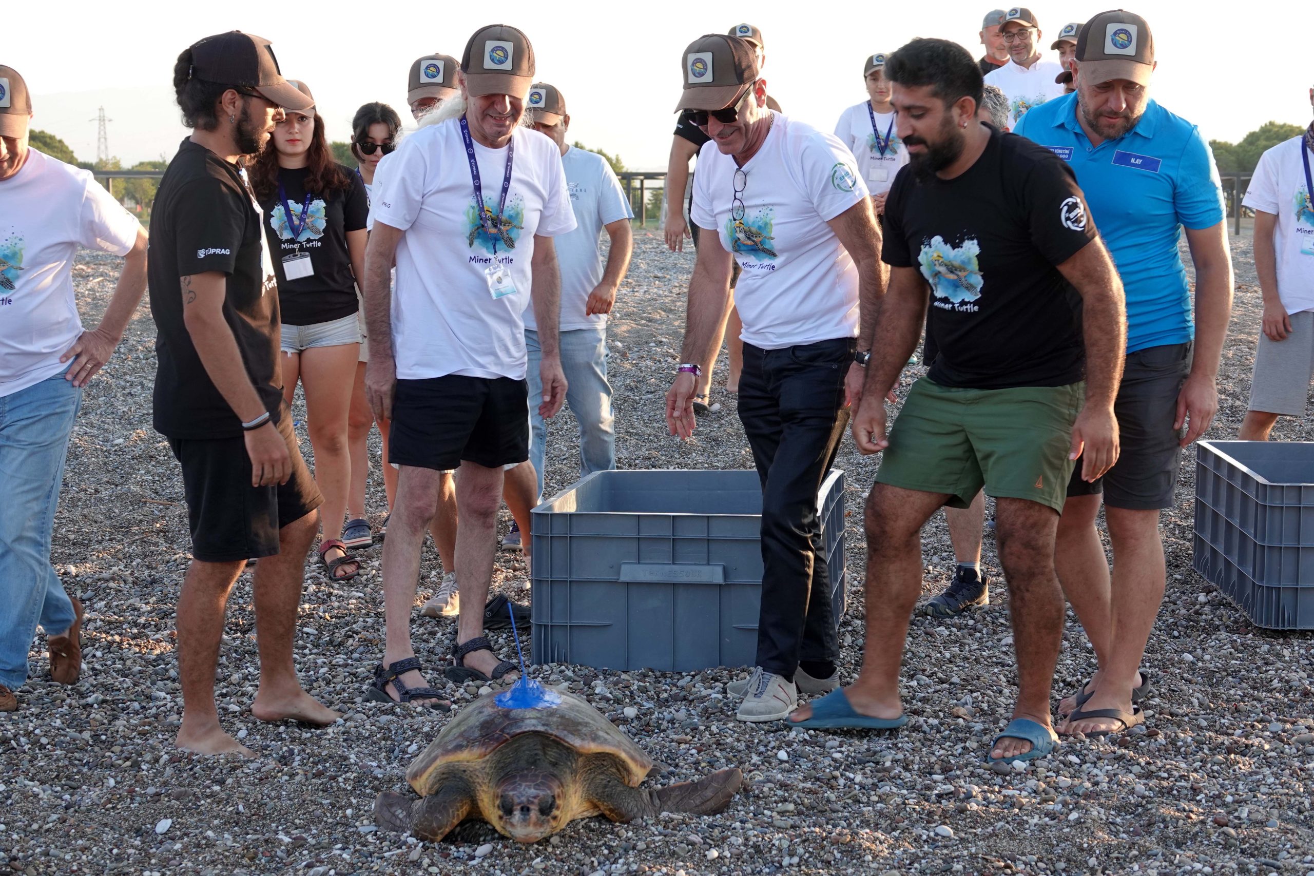 MANAVGAT'TA 'ALTIN' VE 'GÜMÜŞ' İSİMLİ DENİZ KAPLUMBAĞALARI DENİZE BIRAKILDI