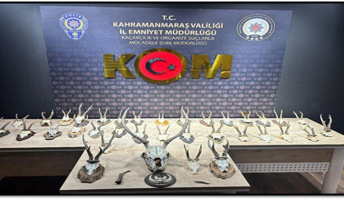Kahramanmaraş Kaçakçılık ve Organize Suçlarla Mücadele Şube Müdürlüğü, farklı türlerde