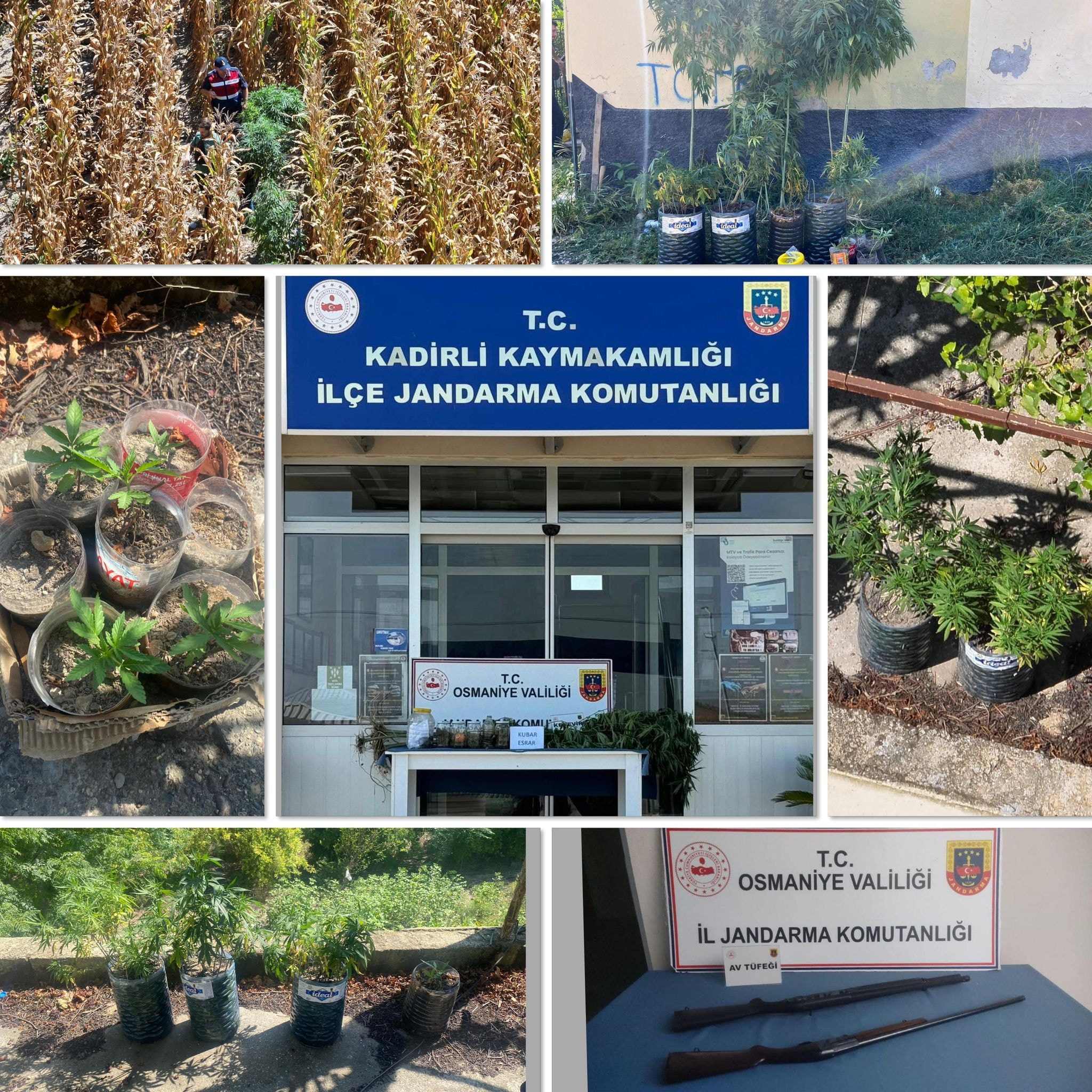 453405356 2162090334171294 939789922799262624 n