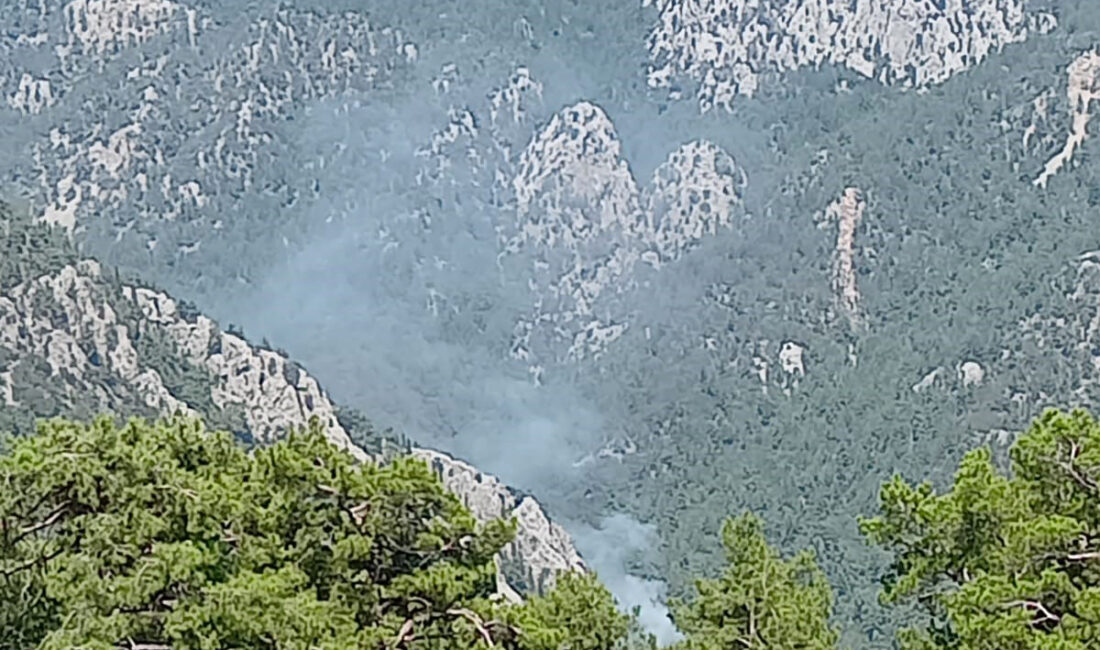 Kemer ilçesine bağlı Gedelme Yaylası’nda, saat 15.00 sularında çıkan orman