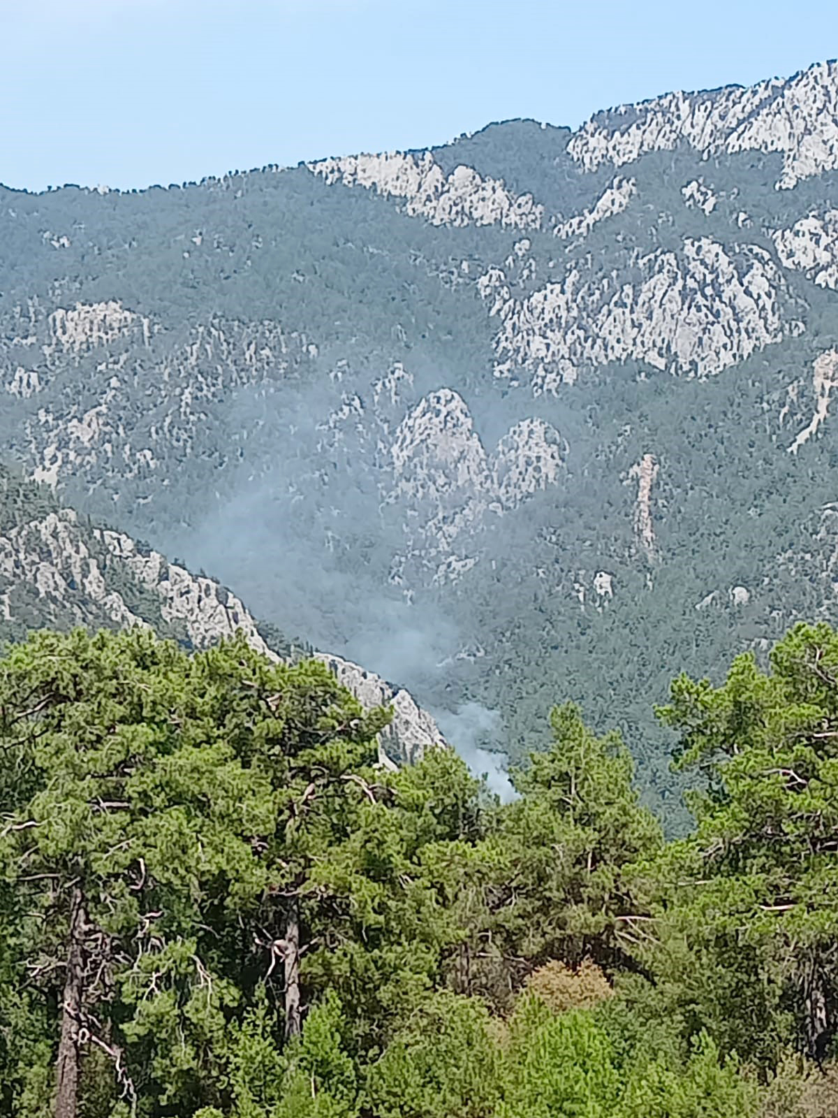 Antalya'da orman yangını