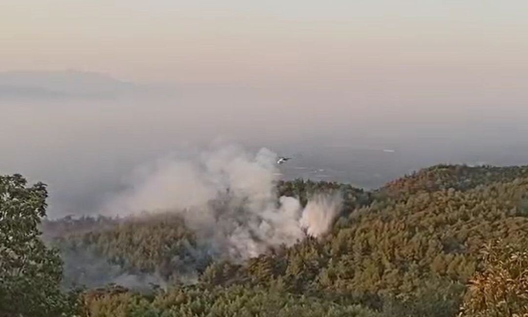Aydın’ın Germencik ilçesinde çıkan ve rüzgarın etkisiyle büyüyen yangın, 2’inci