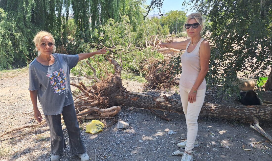 Ankara’da bir belediyeye ait