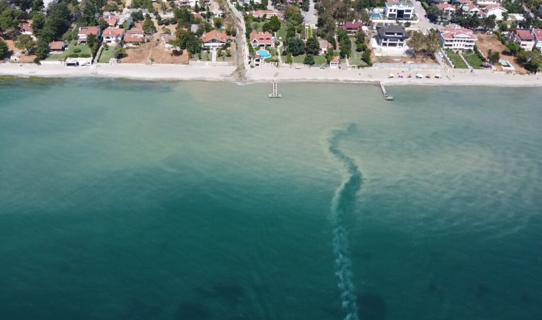 Vehbi DEMİR – Özcan KILIÇ – Oğuzhan CİN / İSTANBUL,