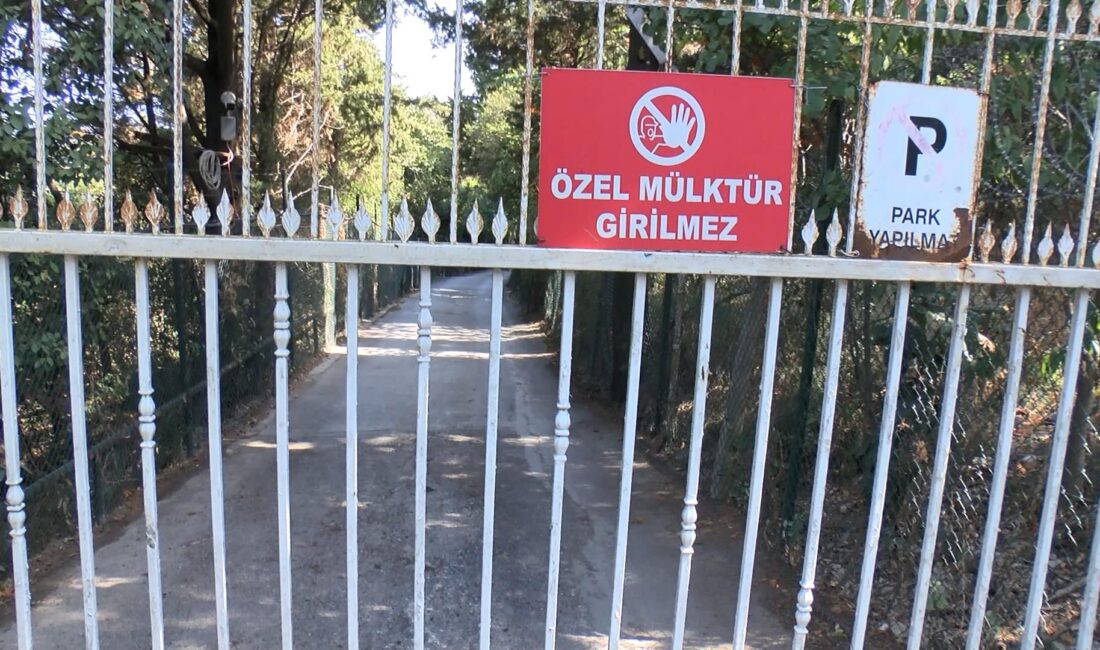 Cengiz ÇOBAN – Melihcan ÇALIŞKAN – Emir EFE BENLİOĞLU /