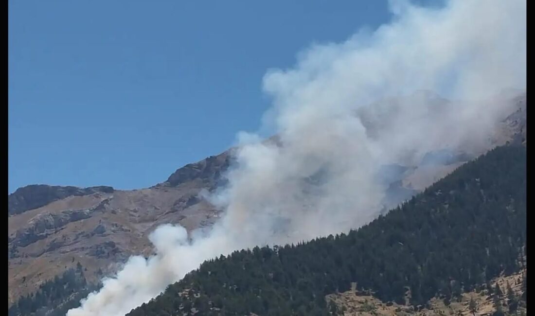 Kahramanmaraş’ın Ekinözü ilçesinde meydana gelen orman yangını, ekiplerin yoğun çabaları
